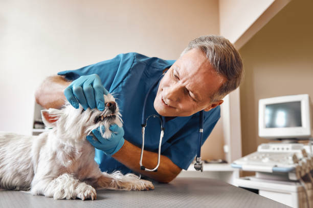Best Emergency Dental Extractions in Antioch, CA